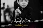 برگزیده ای از کتاب خصایص الحسینیه ( +پوستر)