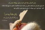 عکس نوشته قرآنی  با عنوان "دنیا پیله توست برای پروانه شدن"  بر اساس سوره طلاق آیه9
