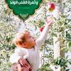 پوستر استوری حدیث: میوه دل، فرزند به زبان عربی